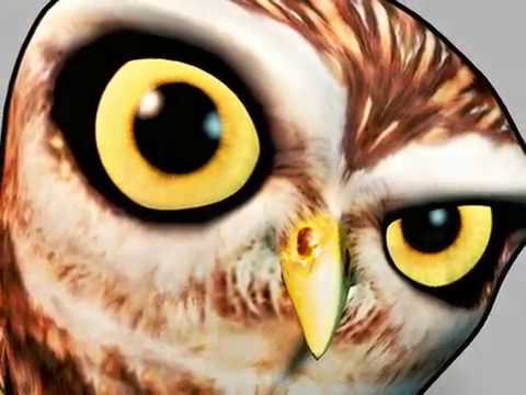 Learnia: Spelling & Math Tutor Video