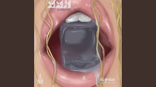 Eis Lyrics English Translation