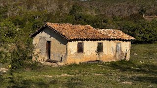 DE ONDE VIEMOS PARA ONDE VAMOS?