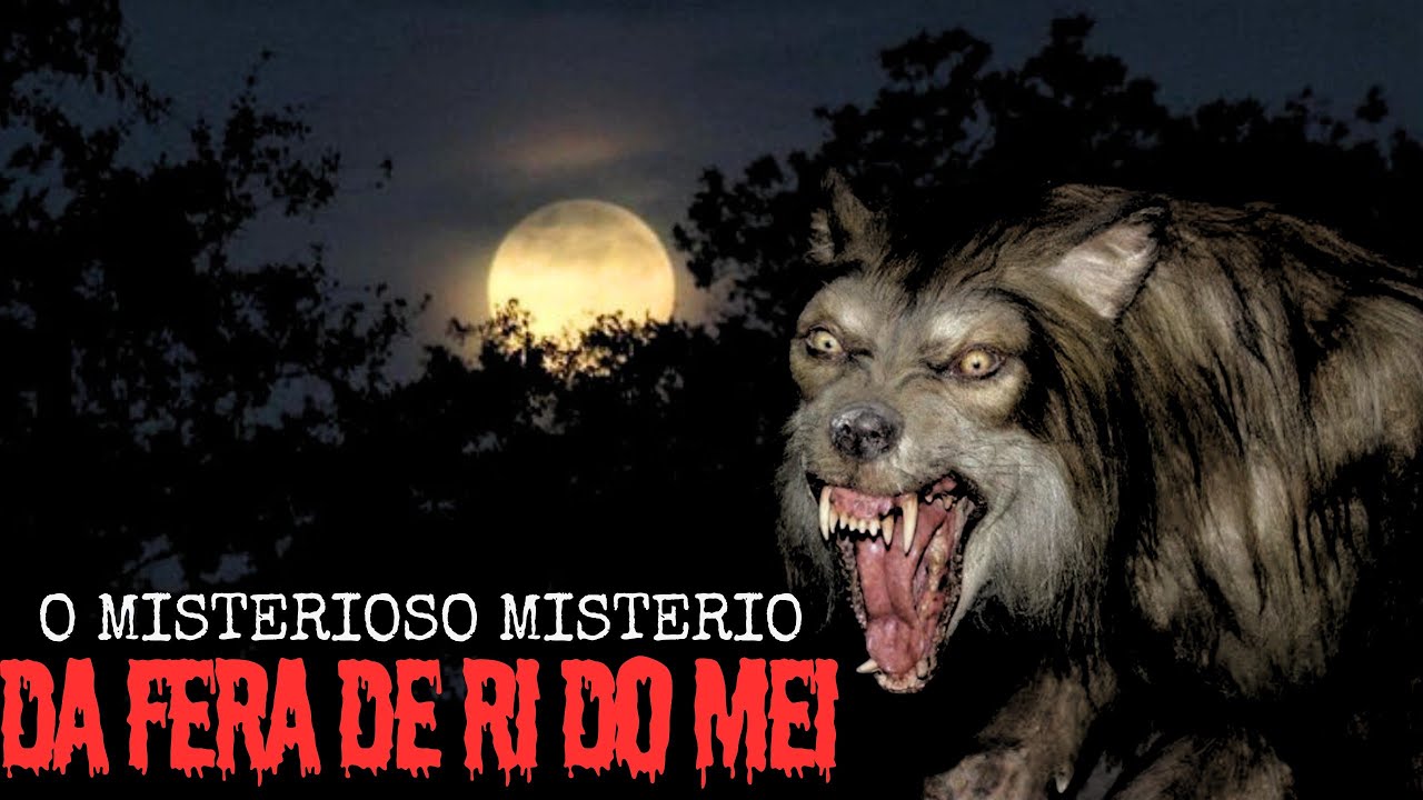 O MISTERIOSO MISTÉRIO DA FERA DE RI DO MEI.