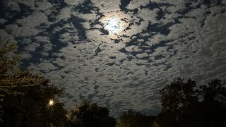 Sorry STRAVA, I’m SlowMaxxing