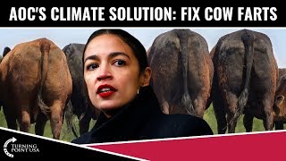 AOC&#39;s Climate Solution: Fix Cow Farts!