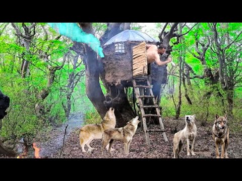A terrifying night😨with a pack of wolves deep in the forest/ Building a hanging tree shelter/ Elon💙👍
