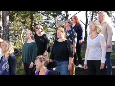 Cantando Musikkforlag 2016 - Stord con Spirito 