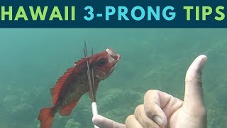 MUST KNOW Hawaii Spearfishing Tips for &quot;3-Prong&quot; Polespear(Beginner Friendly)