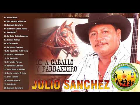 Julio Sanchez Sus Mejores Exitos🐴Lo Mejor De Julio Sanchez🐴 Musica llaneras🐴