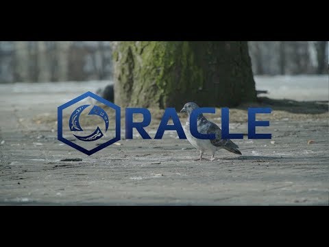 HGC Oracle - 2018 Western Clash 1 - Epilogue