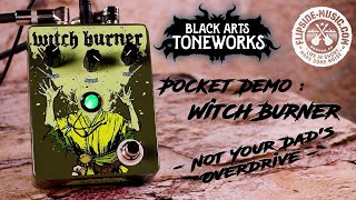 Video thumbnail for Pocket Demo: Black Arts Toneworks   Witch Burner - Not Your Dad's Overdrive by Flipside Music
