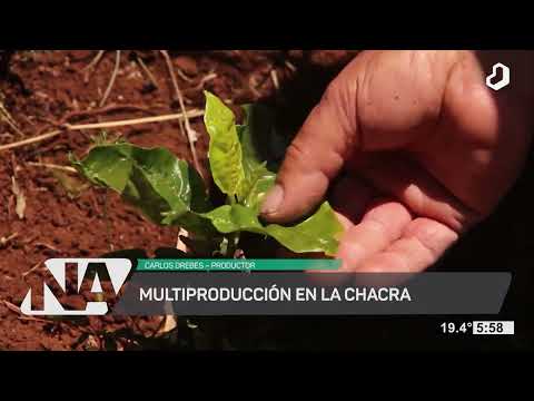 #NuestroAgro: producción de maracuyá en Dos de Mayo