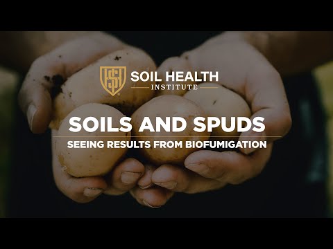 Soils and Spuds: Seeing Results from Biofumigation