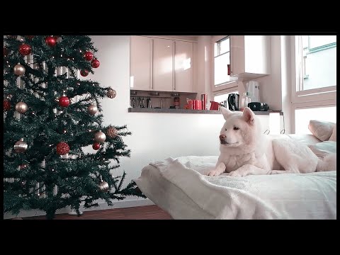 Julien Boss - Besinnliches Fest