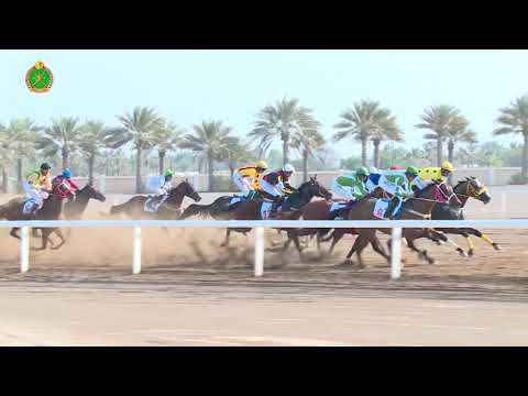 الشوط الثالث - السباق الثاني - Race 3 2nd meeting - 27/10/2018