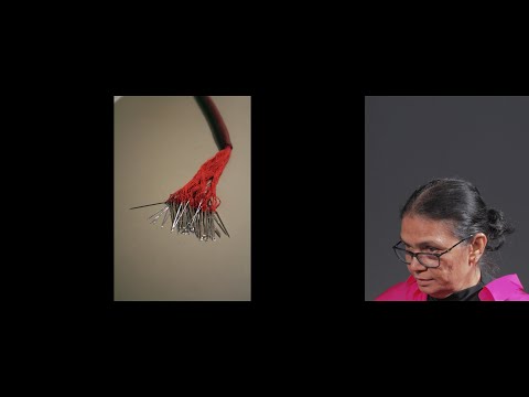 Sam Gilliam Award Program: A Conversation with Sheela Gowda and Rattanamol Singh Johal