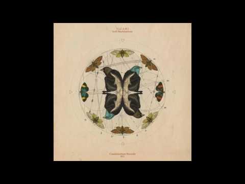 V.I.C.A.R.I - MOY LALLY IN D