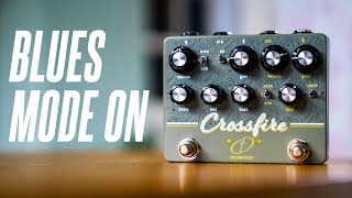 Video thumbnail for Going FULL BLUES with the Crazy Tube Circuits CROSSFIRE! by Sasha Ivantic