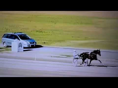 Urlo Dei Venti ritorna dopo due stagioni. Prova Pubblica a Firenze 07/02/2023