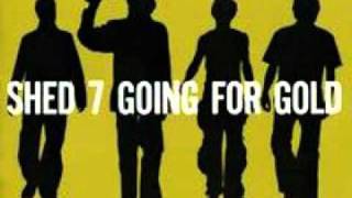 High Hopes-Shed Seven