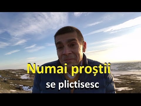 Numai proștii se plictisesc! (Tiberiu Ciubotari)