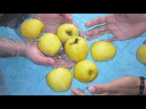 La lluvia de septiembre