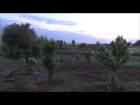 Douar Sidi Boumehdi, Ouled Said