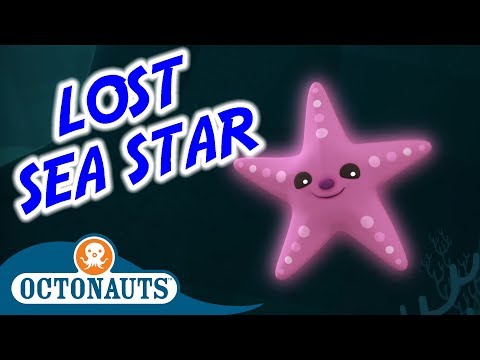 The Lost Sea Star