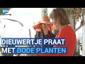 Vrouw kan met dode planten praten
