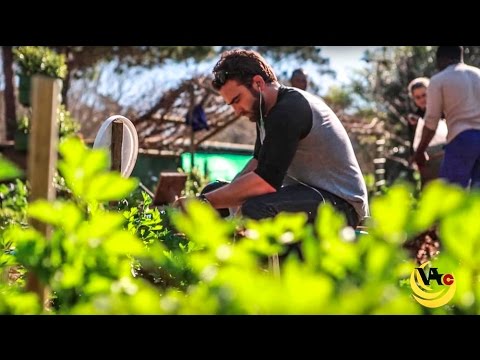 Sustainable Development Internship