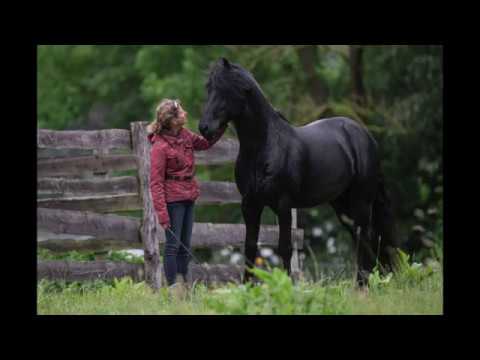 Fotocamp Gut Häven 2020