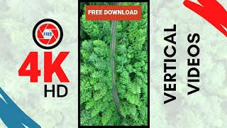 Download lagu Drone shot of a road in the middle of forest | Nature Footage | FREE non-copyright vertical videos mp3