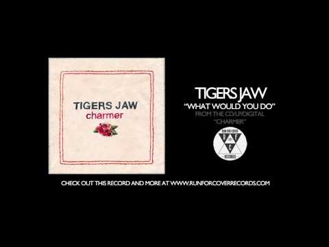 Tigers Jaw - 