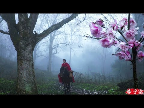 download lagu mp3 mp4 Magnolia Horse, download lagu Magnolia Horse gratis, unduh video klip Magnolia Horse