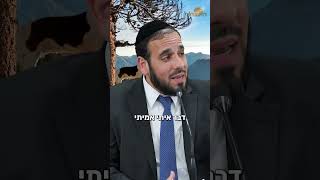 תשקיע בקשר עם בורא עולם! (הרב דוד פריוף) - התמונה מוצגת ישירות מתוך אתר האינטרנט יוטיוב. זכויות היוצרים בתמונה שייכות ליוצרה. קישור קרדיט למקור התוכן נמצא בתוך דף הסרטון