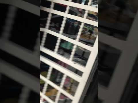 DEMI DIEU ALL DAY, COMMINSONG VIDEO AUDIO PATAJE MELODI