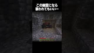 この幽霊になら襲われても良い！ #minecraft