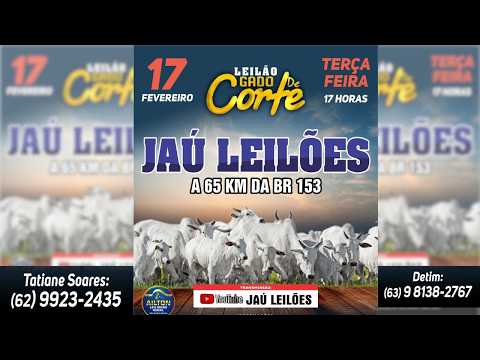 LEILÃO GADO DE CORTE  - JAU LEILÕES  - JAU DO TOCANTINS  -17/ 02/ 2026