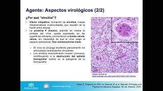 Etiopatogenia virus respiratorios-2