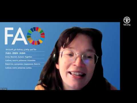 From the MRV to the Enhanced Transparency Framework