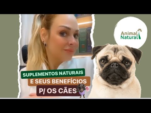 Encor Dog Suplemento Natural p/ Cães com Problemas Cardíacos, Endócrinos e controle de Triglicérides - Nutradog