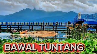 Download lagu Mancing ikan bawal liar // mancing rawa pening terbaru mp3