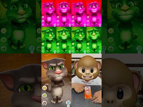 Talking tom cat #shorts #516