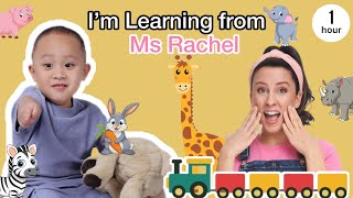 New Year Playtime Begins – Toddler’s Fun Journey Starts Here