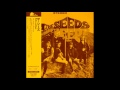 The Seeds - Try To Understand. 