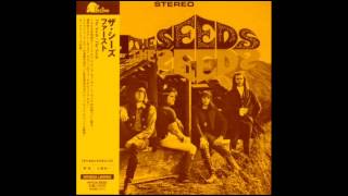The Seeds - Try To Understand.