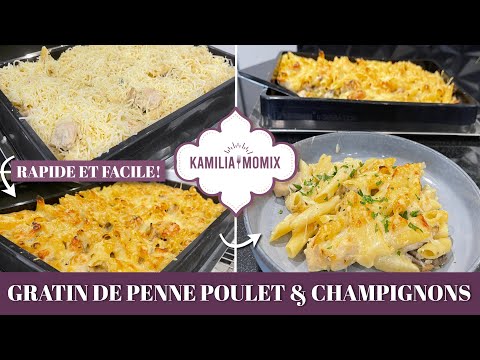 GRATINS DE PÂTES AU POULET ET CHAMPIGNONS