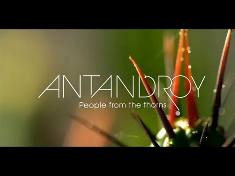 Antandroy by F-ONE