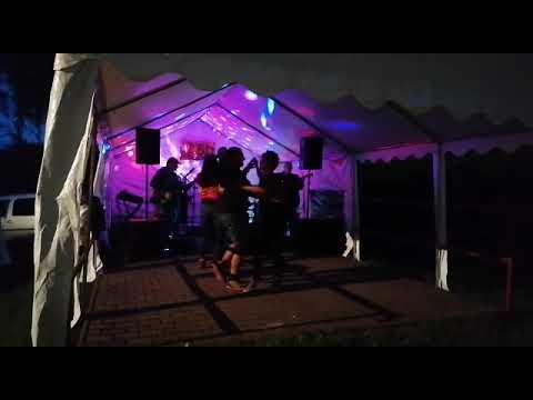 LSD - Jako kotě si příst ( Jiří Grossmann )
