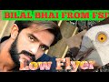 BILAL BHAI FROM FSD Ll LOW FLYER PIGEONS Ll KABOOTAR