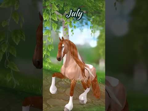 What your birth month ?  #ssorecolor #starstable #starstableonline #sso #starstableedit #horsegame