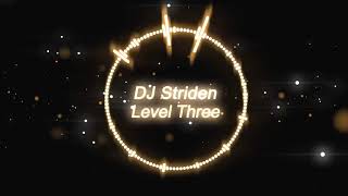 Cover art for DJ Striden - Level Three [Melodic Electro]