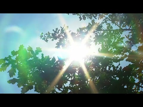 Heiße Hundstage: Bis zu 38 Grad